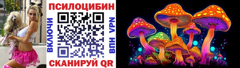 Купить где  Протвино  Галлюциногенные грибы Magic Shrooms 